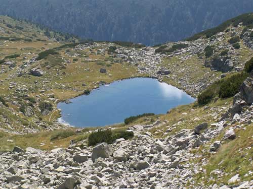 17.JPG